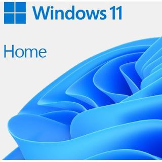 Microsoft Windows 11 Home 64 Bit Deutsch DSP/SB